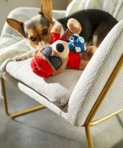 Frisco Road Trip Tourist Bear Plush Squeaky Dog Toy -The Frisco Store 261995 PT3. SY630 V1618598730