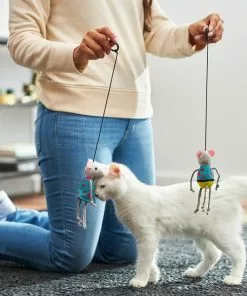 Frisco Road Trip Tourist Bouncy Mouse Cat Toy with Catnip, 2 count -The Frisco Store 262018 PT3. SY630 V1618598618