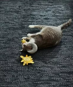 Frisco Road Trip Sun & Moon Plush Cat Toy with Catnip, 2 count 7 Frisco Road Trip Sun & Moon Plush Cat Toy with Catnip, 2 count -The Frisco Store 262026 PT3. SY630 V1618598570