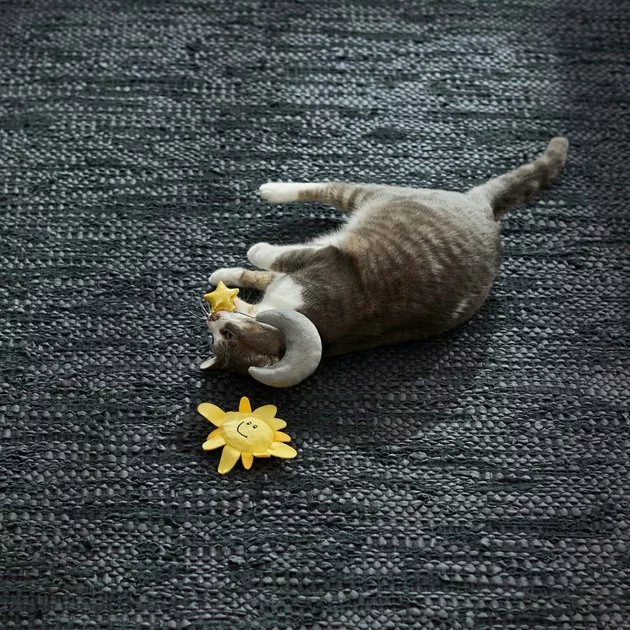 Frisco Road Trip Sun & Moon Plush Cat Toy with Catnip, 2 count 5 Frisco Road Trip Sun & Moon Plush Cat Toy with Catnip, 2 count - Image 3