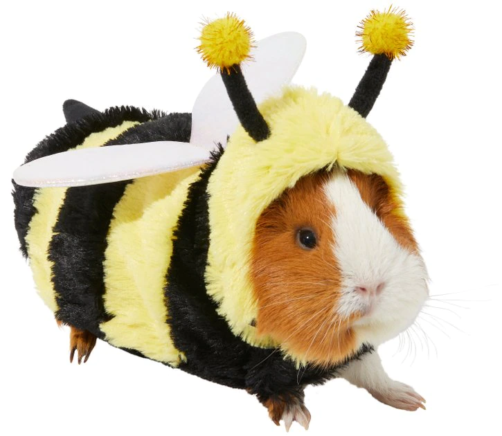 Frisco Bumble Guinea Pig Costume, One Size 3 Frisco Bumble Guinea Pig Costume, One Size