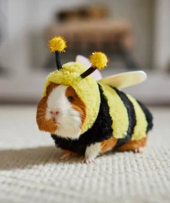 Frisco Bumble Guinea Pig Costume, One Size 13 Frisco Bumble Guinea Pig Costume, One Size -The Frisco Store 262166 PT8. SY630 V1624307572