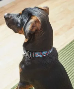 Frisco Hawaii Nights Dog Collar 9 Frisco Hawaii Nights Dog Collar -The Frisco Store 264067 PT3. SY630 V1616768846