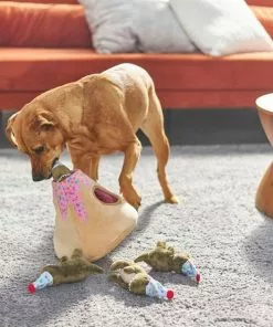 Frisco Birthday Volcano Hide & Seek Plush Dog Toy -The Frisco Store 264424 PT3. SY630 V1619474082