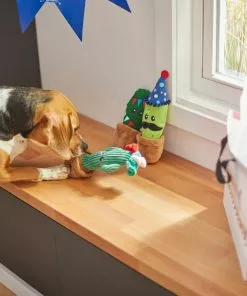 Frisco Birthday Cactus Plush Squeaky Dog Toy, 3 count 7 Frisco Birthday Cactus Plush Squeaky Dog Toy, 3 count -The Frisco Store 264426 PT3. SY630 V1619474032