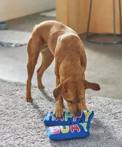 Frisco Happy Birthday Plush Dog Toy -The Frisco Store 264428 PT3. SY630 V1619474117