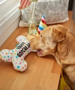 Frisco Birthday Reversible Plush Bone Squeaky Dog Toy -The Frisco Store 264432 PT3. SY630 V1619474112