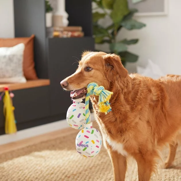 Frisco Birthday Balloon Bouquet Plush with Rope Squeaky Dog Toy 5 Frisco Birthday Balloon Bouquet Plush with Rope Squeaky Dog Toy - Image 3