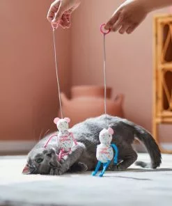 Frisco Birthday Bouncy Mouse Cat Toy, 2 count -The Frisco Store 264450 PT3. SY630 V1618948718