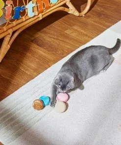 Frisco Macaron Cat Toy with Catnip, Small, 4 count -The Frisco Store 264458 PT3. SY630 V1618948769