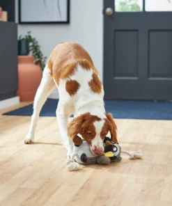 Frisco Magic Owl Plush with Rope Squeaky Dog Toy -The Frisco Store 265594 PT3. SY630 V1620939104