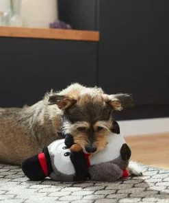 Frisco Magic Owl Plush Squeaky Dog Toy -The Frisco Store 265596 PT3. SY630 V1623352167