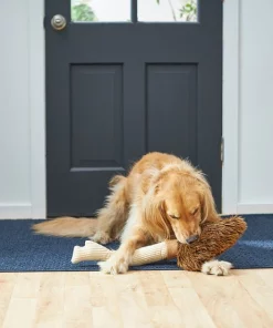 Frisco Magic Broom Plush Squeaky Dog Toy 7 Frisco Magic Broom Plush Squeaky Dog Toy -The Frisco Store 265598 PT3. SY630 V1620938980