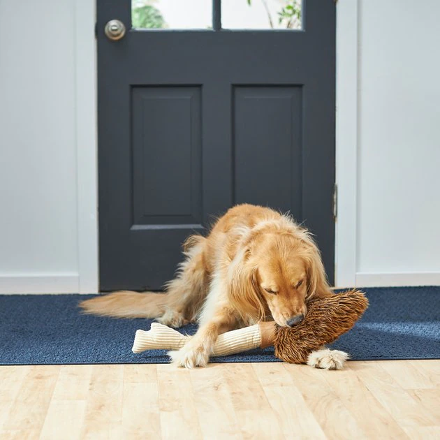 Frisco Magic Broom Plush Squeaky Dog Toy 5 Frisco Magic Broom Plush Squeaky Dog Toy - Image 3