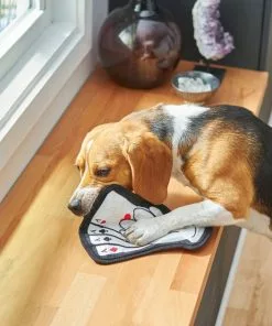 Frisco Magic Lucky Aces Flat Plush Squeaky Dog Toy -The Frisco Store 265612 PT3. SY630 V1620938989