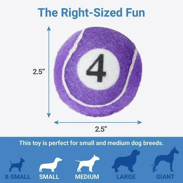 Frisco Magic Fortune Fetch Squeaky Tennis Ball Dog Toy, 3 count 4 Frisco Magic Fortune Fetch Squeaky Tennis Ball Dog Toy, 3 count - Image 2