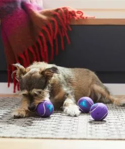 Frisco Magic Fortune Fetch Squeaky Tennis Ball Dog Toy, 3 count 7 Frisco Magic Fortune Fetch Squeaky Tennis Ball Dog Toy, 3 count -The Frisco Store 265620 PT3. SY630 V1623352072