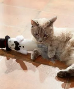 Frisco Magic Dove Plush Kicker Cat Toy with Catnip -The Frisco Store 265646 PT3. SY630 V1620938924