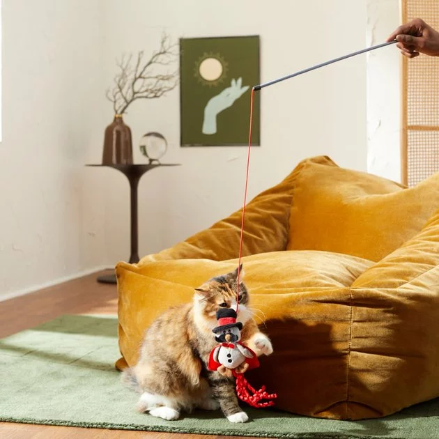 Frisco Magic Owl Teaser Wand Cat Toy with Catnip 5 Frisco Magic Owl Teaser Wand Cat Toy with Catnip - Image 3