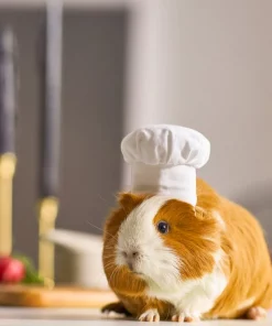 Frisco Chef Guinea Pig Costume Hat, One Size 9 Frisco Chef Guinea Pig Costume Hat, One Size -The Frisco Store 265887 PT8. SY630 V1624307877