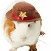 Frisco Cowboy Guinea Pig Costume Hat, One Size 1 Frisco Cowboy Guinea Pig Costume Hat, One Size -The Frisco Store 265889 MAIN. SY630 V1624414662