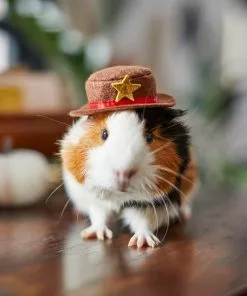 Frisco Cowboy Guinea Pig Costume Hat, One Size -The Frisco Store 265889 PT8. SY630 V1624454639