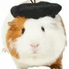 Frisco French Beret Guinea Pig Costume Hat, One Size -The Frisco Store 265891 MAIN. SY630 V1624305182