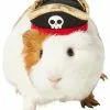 Frisco Pirate Guinea Pig Costume Hat, One Size -The Frisco Store 265893 MAIN. SY630 V1624305451