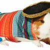 Frisco Serape Guinea Pig Costume, One Size -The Frisco Store 265895 MAIN. SY630 V1624304603