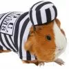 Frisco Prisoner Guinea Pig Costume, One Size -The Frisco Store 265897 MAIN. SY630 V1624304868