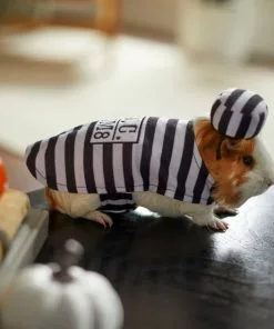 Frisco Prisoner Guinea Pig Costume, One Size -The Frisco Store 265897 PT8. SY630 V1624339171