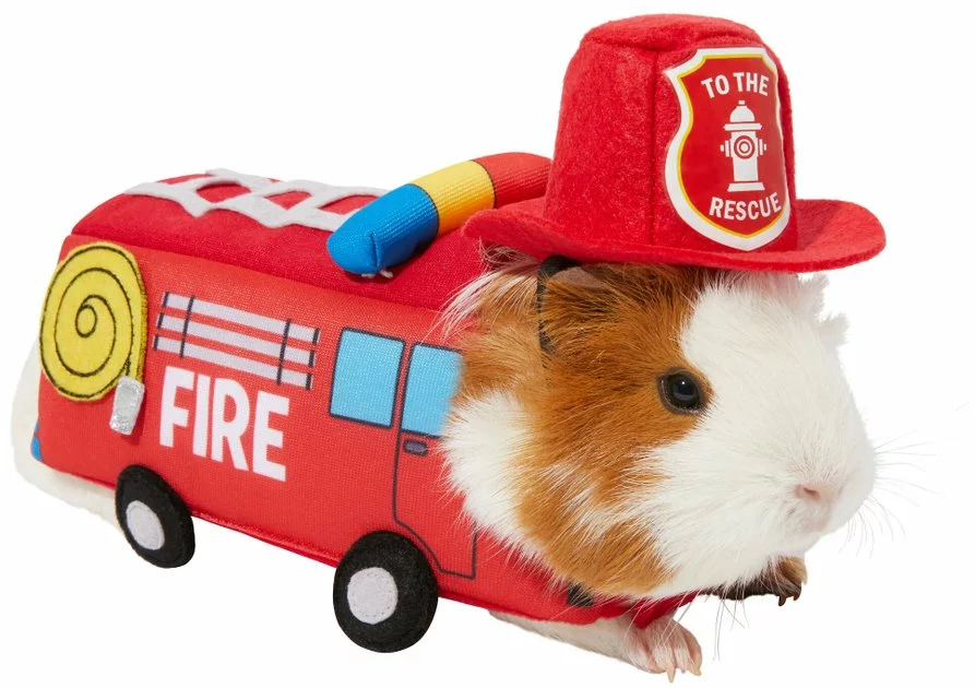Frisco Firetruck Guinea Pig Costume, One Size 3 Frisco Firetruck Guinea Pig Costume, One Size