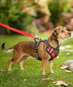 Frisco Padded Reflective Harness -The Frisco Store 266762 PT2. SY630 V1624542591