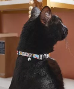 Frisco Traffic Signs Cat Collar, 8-12 Inches -The Frisco Store 269476 PT4. SY630 V1619534572