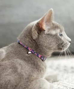 Frisco Midnight Floral Cat Collar, 8-12 Inches -The Frisco Store 269490 PT4. SY630 V1617037508
