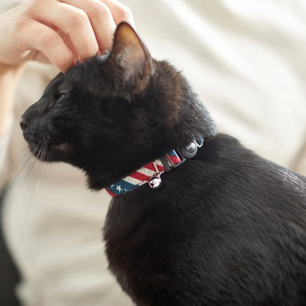 Frisco American Flag Cat Collar, 8-12 Inches 6 Frisco American Flag Cat Collar, 8-12 Inches - Image 4