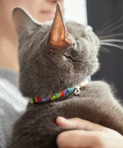 Frisco Tie Dye Cat Collar, 8-12 Inches -The Frisco Store 269494 PT4. SY630 V1617037394