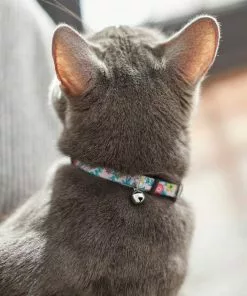 Frisco Spring Floral Cat Collar, 8-12 Inches 10 Frisco Spring Floral Cat Collar, 8-12 Inches -The Frisco Store 269498 PT4. SY630 V1617037453