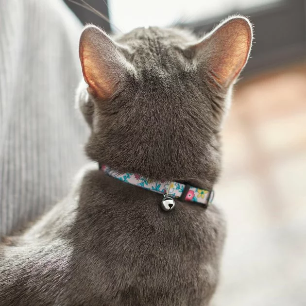 Frisco Spring Floral Cat Collar, 8-12 Inches 6 Frisco Spring Floral Cat Collar, 8-12 Inches - Image 4