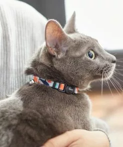 Frisco Spring Reef Life Collar, 8-12 Inches -The Frisco Store 269500 PT4. SY630 V1617037320