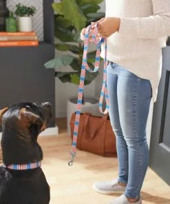 Frisco Americana Dog Leash -The Frisco Store 269502 PT3. SY630 V1619536665