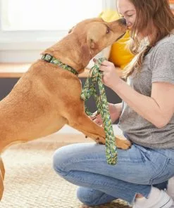 Frisco Tropical Bananas Dog Leash -The Frisco Store 269522 PT3. SY630 V1619534324