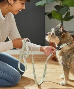 Frisco Ice Cream Party Dog Leash 7 Frisco Ice Cream Party Dog Leash -The Frisco Store 269549 PT3. SY630 V1619537401