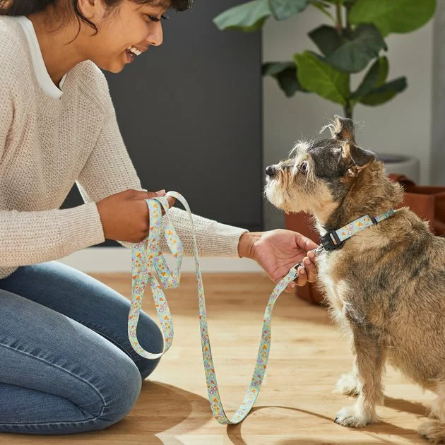 Frisco Ice Cream Party Dog Leash 5 Frisco Ice Cream Party Dog Leash - Image 3