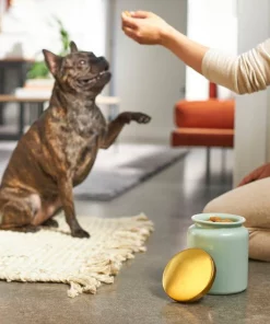 Frisco Modern Gold Rim Ceramic Treat Jar, 5 Cups -The Frisco Store 270182 PT2. SY630 V1620761610