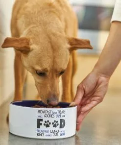 Frisco Food & Paw Non-skid Ceramic Dog Bowl -The Frisco Store 270194 PT2. SY630 V1620761622