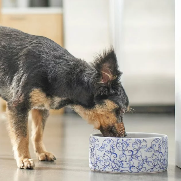 Frisco Blue Garden Non-skid Ceramic Dog Bowl 5 Frisco Blue Garden Non-skid Ceramic Dog Bowl - Image 3