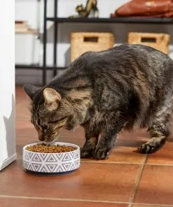 Frisco Tribal Aztec Non-skid Ceramic Dog & Cat Bowl -The Frisco Store 270217 PT3. SY630 V1620762202