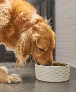 Frisco Geometric Non-skid Ceramic Dog Bowl -The Frisco Store 270224 PT2. SY630 V1620762188