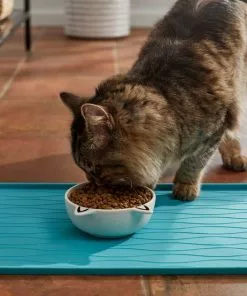 Frisco Cat Face Non-skid Ceramic Dog Bowl, White, 1.25 Cups -The Frisco Store 270229 PT3. SY630 V1620762318